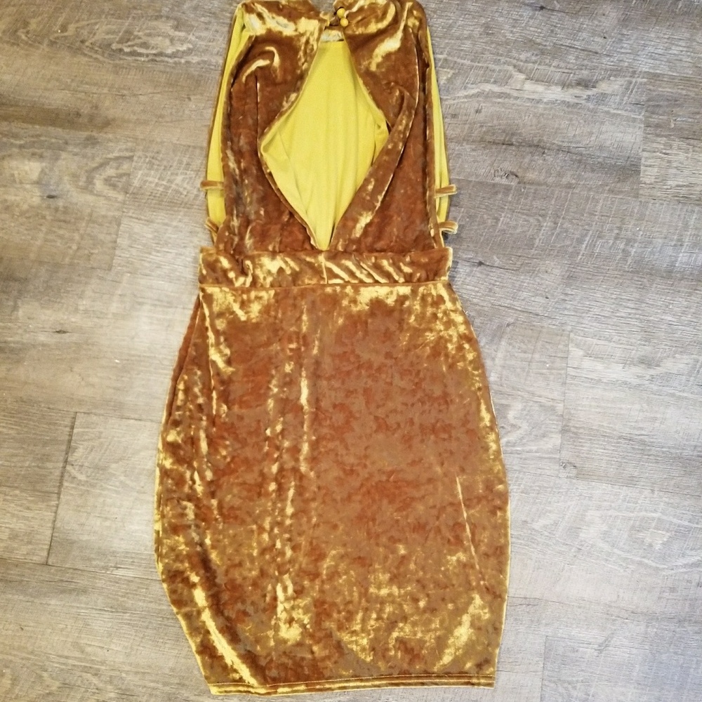 Velvet Dress - Picture 2 of 5